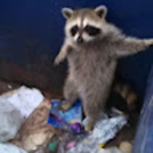 Meet your Posher, Edward